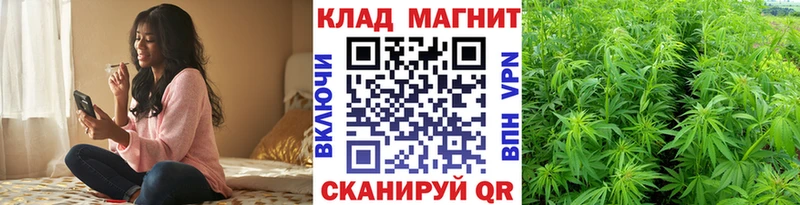 Названия наркотиков Верхний Тагил Псилоцибиновые грибы  МЕФ  ГАШ 
