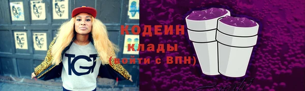 хмурый Богородск