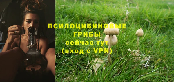хмурый Богородск