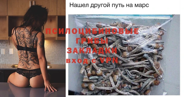 гидропоника Богданович