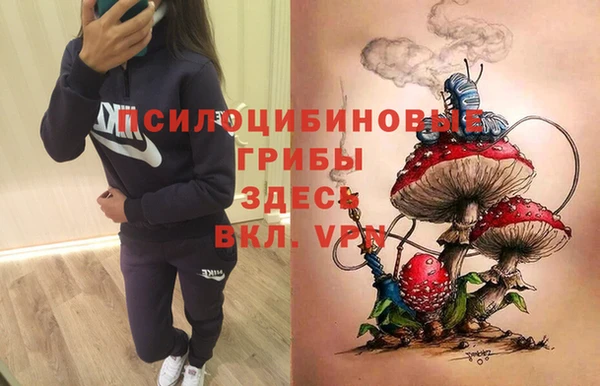 гидропоника Богданович