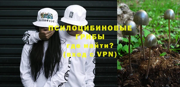 экстази Богородицк